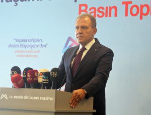 Mersin’de Köpek Sahiplenenlere Kısırlaştırma, Mama Ve Bakım Desteği Verilecek