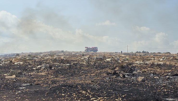 Mersin’de Otluk Alanda Yangın Kontrol Altına Alındı