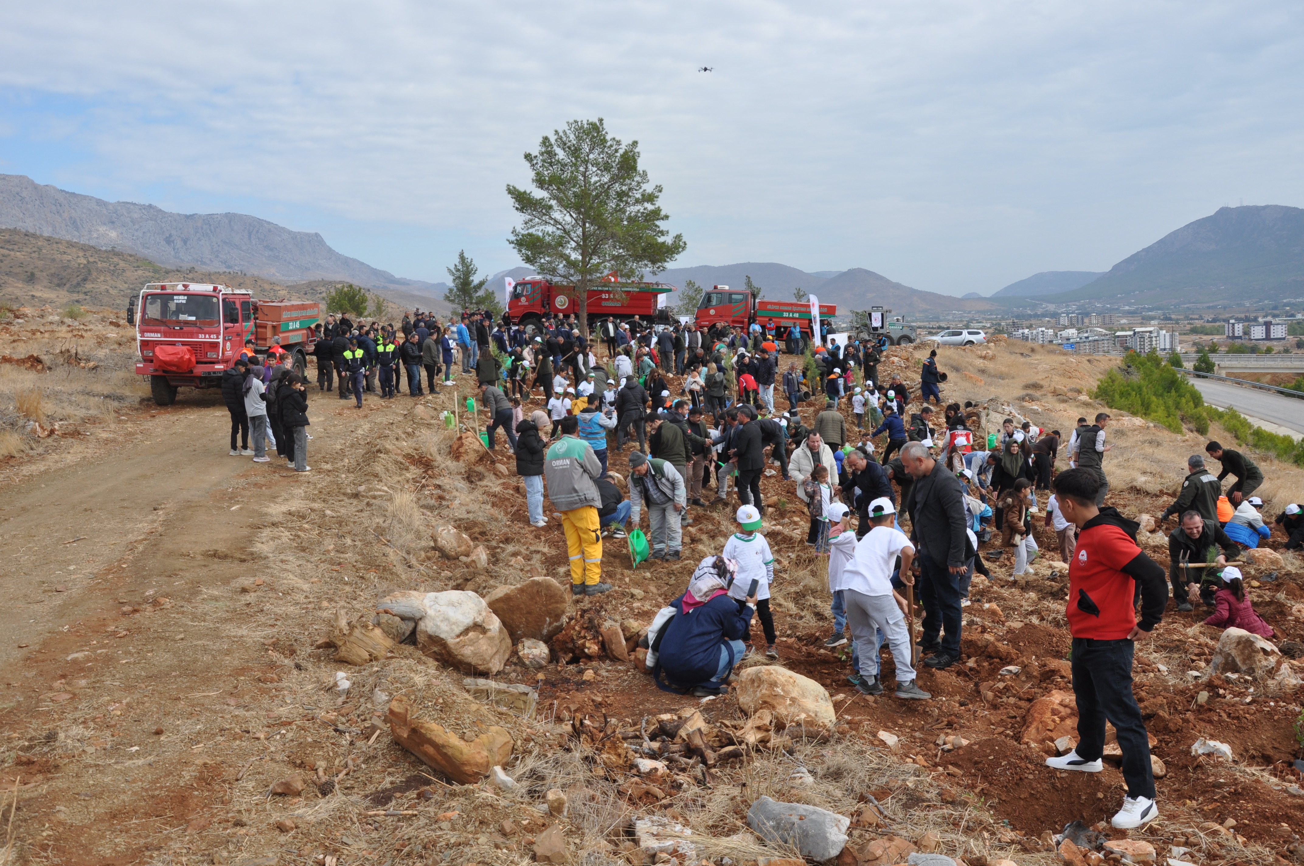 Mersin ve Adana'da 11 Kasım Ağaçlandırma Etkinlikleri