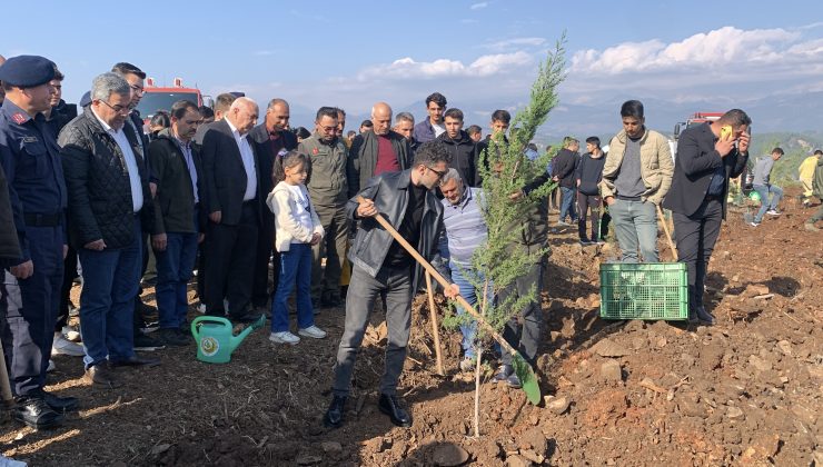 Mersin ve Adana’da 11 Kasım Ağaçlandırma Etkinlikleri